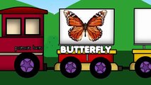 Insects Train Fun Learning Insects and Bug Names, Educational Cartoons for Children