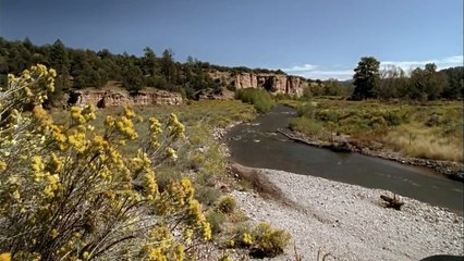 Documentary - The Deadliest Killer in Human History