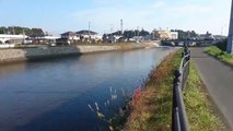 7.4 Earthquake Tsunami Wave Footage Fukushima Nuclear Power Plant Japan November 22, 2016