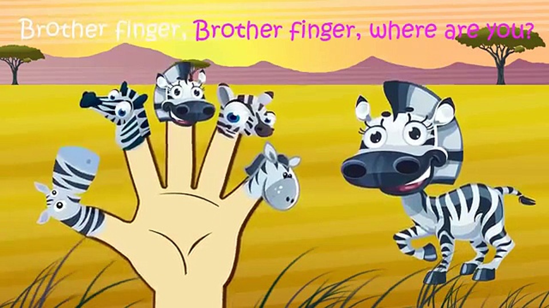 Zebra Finger Family Nursery Rhymes Lyrics Video Dailymotion
