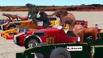 Dinosaurs, Lion, King Kong, Tiger And Godzilla Cartoons Car Racing Videos For Children