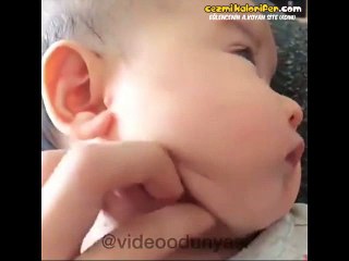 Stres Topu Kıvamındaki Ponçik