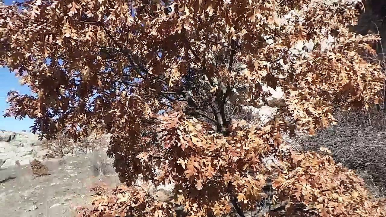 inli doğa yürüyüşü keşif 07-03-2017