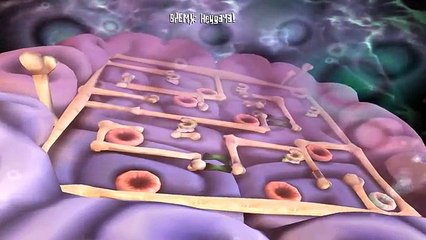 БЕШЕНЫЕ КРОЛИКИ - Rayman Raving Rabbids прохождение на русском