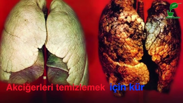 Akciğer temizleme kürü - ibrahim saraçoğlu - Mucize iksirler
