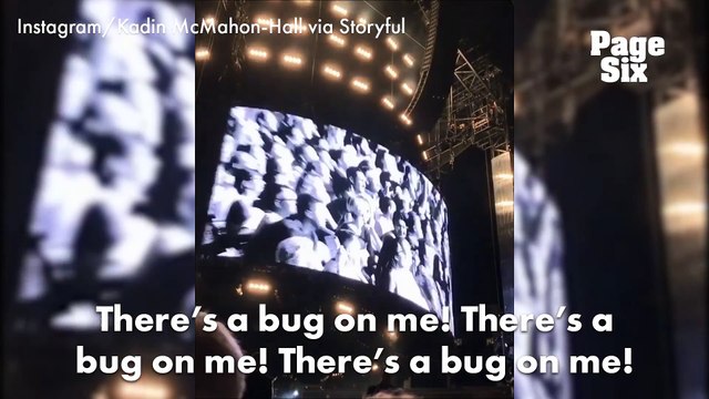 Quand Adèle pète un câble contre deux moustiques en plein concert