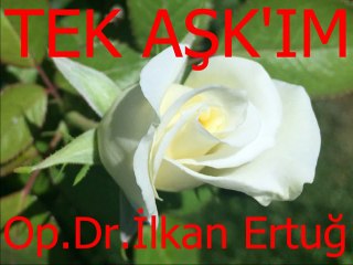 Ayşe Taş-Bir Beyaz Gülüm Vardı