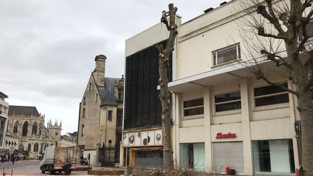Abattage des arbres devant l'ancien cinéma