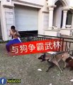 dog vs boy - big fight