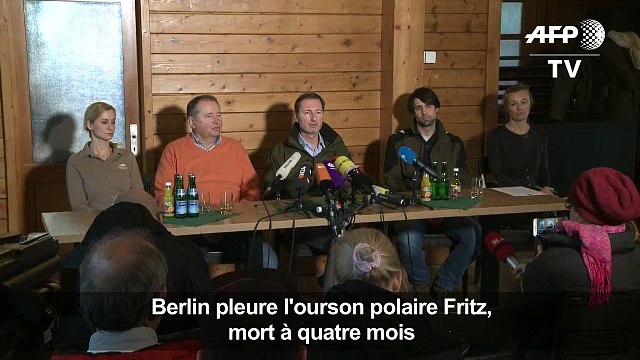 Berlin pleure l'ourson polaire Fritz, mort à quatre mois