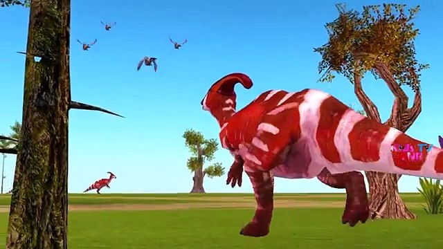 Learn Sea Animals Names Kids Children Toddler Video Toy Fun Shark Attack Bite Pirate Ship