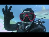 Diver Encounters Big Sea Creatures on Different Trips