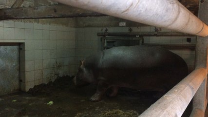 Une Saison au zoo 7 en tournage