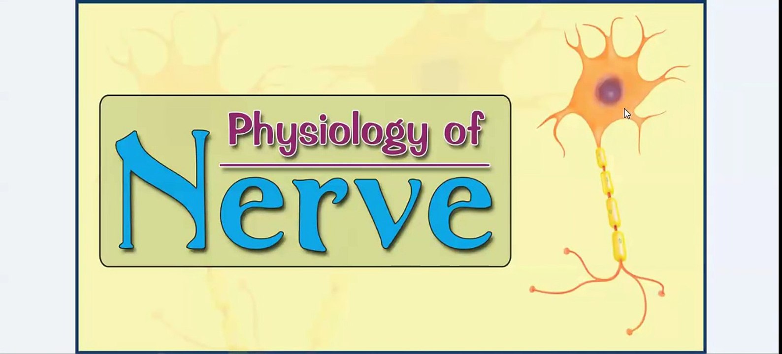 Easy Physiology - Nerve - 2-Action Potential