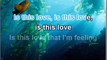 IS THIS LOVE (  BOB MARLEY ) Karaoke e Flashback