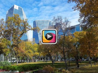 Ağaçlar gerçekten havayı temizliyor mu?