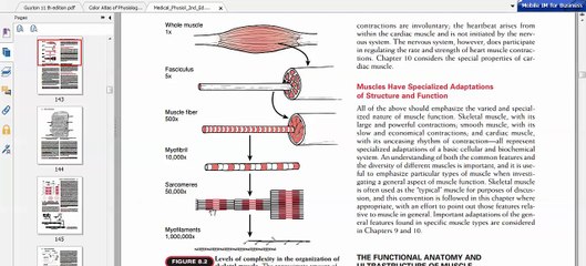 Easy Physiology - Muscle - 1-Excitation Contraction Coupling