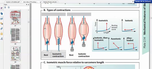 Easy Physiology - Muscle - 2-Isometric & Isotonic contractions