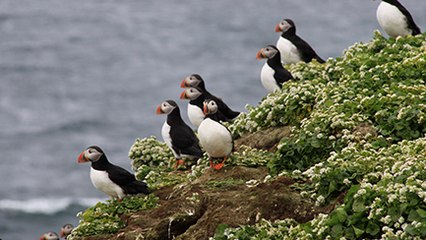 Top 7 Destinations to Travel to This Spring