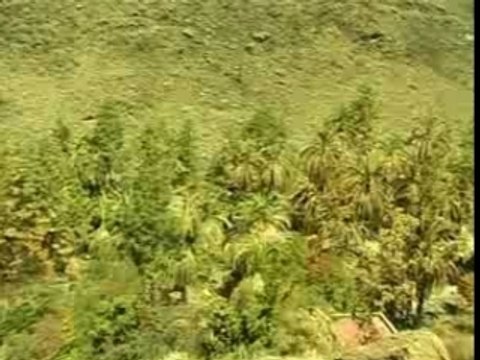 Gran Canaria, incendio en palmitos park, pedro codina