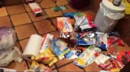 Ils retrouvent leur maison saccagée