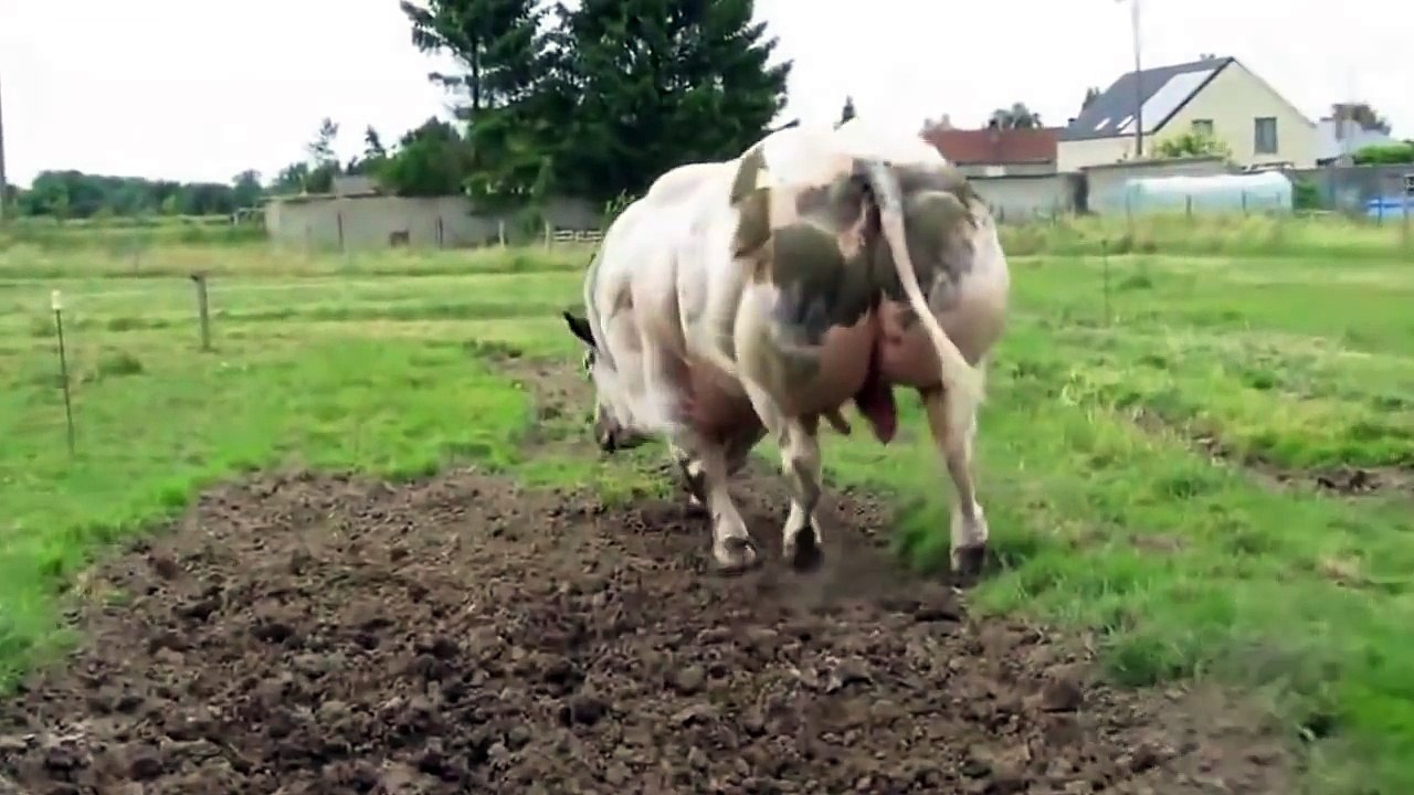 C'est bien l'humain qui a créé cette créature immense, mais attendez de la voir bouger !