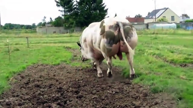 C'est bien l'humain qui a créé cette créature immense, mais attendez de la voir bouger !