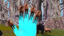 Lion Top 10 Animated Finger Family Rhymes For Children 3D Songs | Top Animal Rhymes