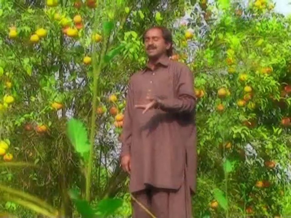 Allah saiyaan juldi jawan kar