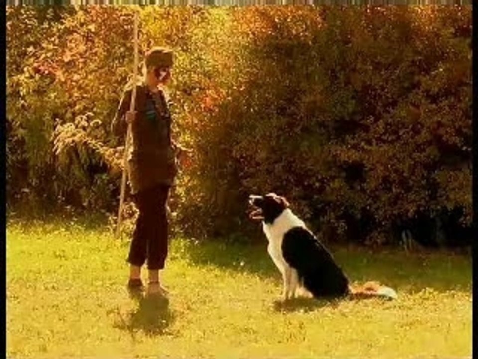 Obéissance Rythmée : Petra Bozzo, Choré n°1 (Le Roi Lion)