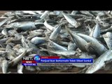 Ikan Berformalin Disita dari 125 Pasar dan Toko Swalayan - NET 24