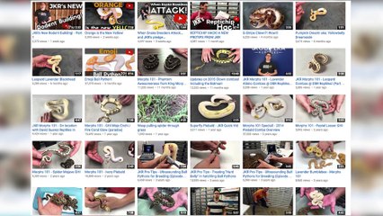 🐍 Meet the First Ever Emoji Python with Unique Markings!