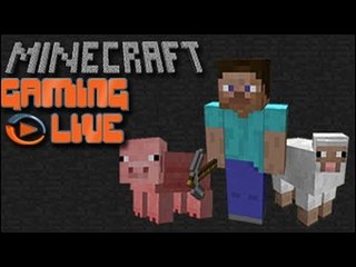 Gaming Live Web - Minecraft - Visite de JVCraft