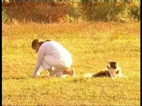 Obéissance Rythmée : Petra Bozzo, Choré n°2 (Last Unicorn)