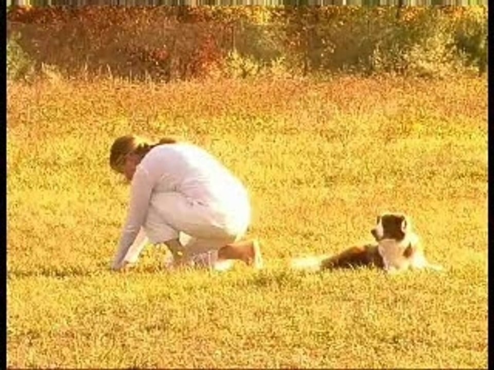 Obéissance Rythmée : Petra Bozzo, Choré n°2 (Last Unicorn)