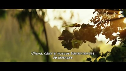 KONG: A ILHA CAVEIRA