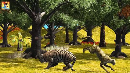 Tiger Finger Family | Lion Cheetah 3D Animated Finger Family Rhymes For Babies | Animals C