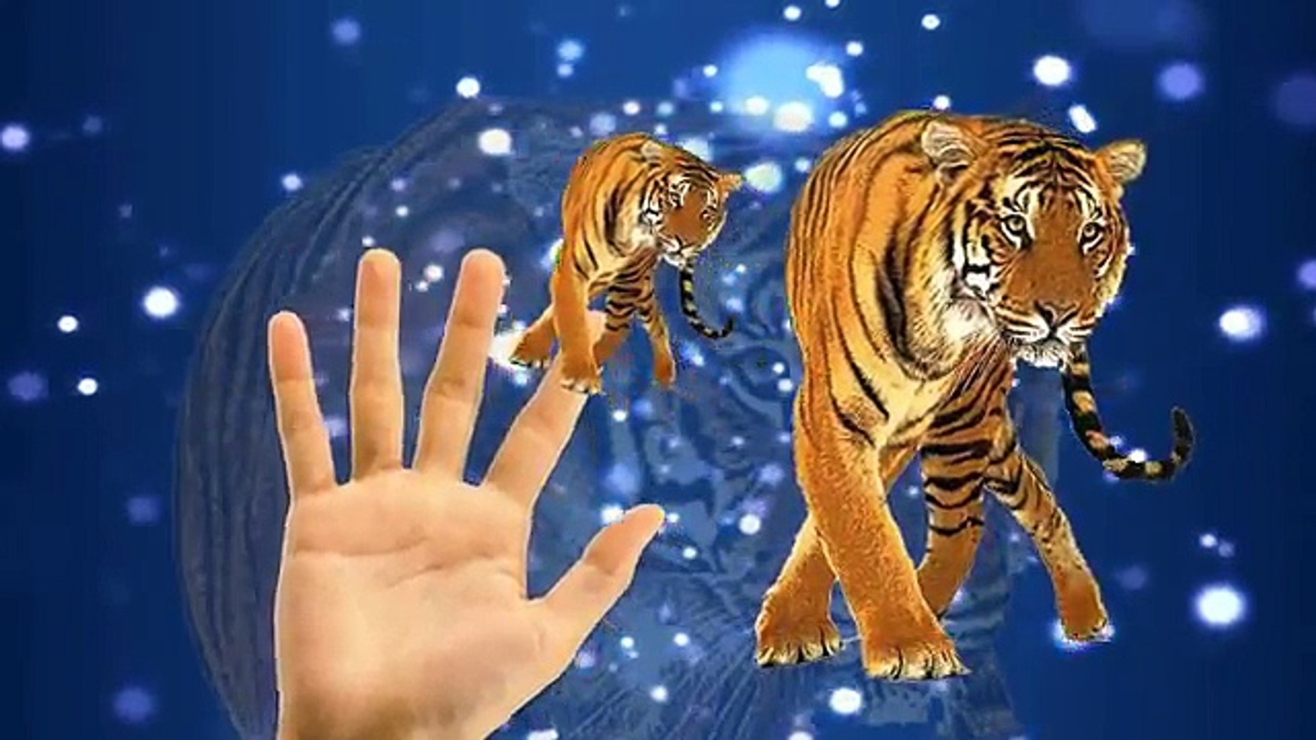 Животные Мультфильмы Для Детей Finger Семья Потешки | Животных Finger Семья Мультфильмы
