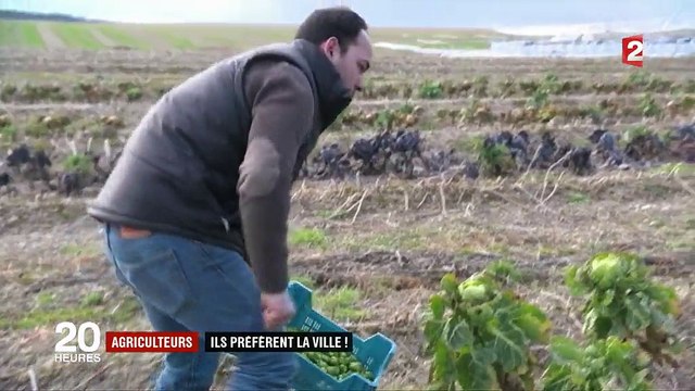 De plus en plus d'agriculteurs citadins