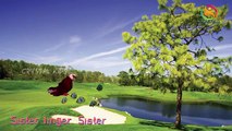 Birds Finger Family Nursery 3d rhymes | 3d Animals | Eagle finger family rhymes