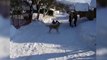 Skier Nearly Misses Dog Skier Takes One for the Pup _FunYourself.mp4