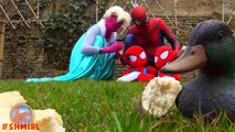 Frozen Elsa Pink Spidergirl with Spiderbaby Twins vs Spiderman - Superhero Fun In Real Lif