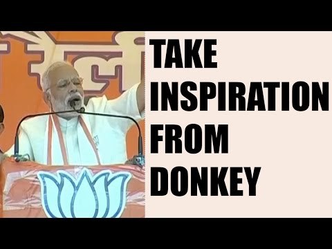 UP Elections 2017: PM Modi hits back at Akhilesh over donkey remark : Watch video | Oneindia News