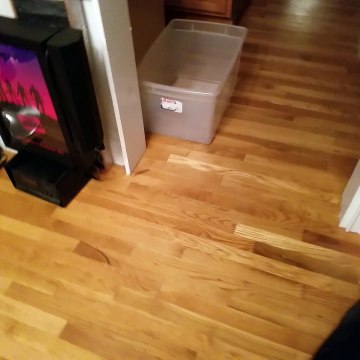 My Derpy Dog Likes to Drift on the Hardwoods