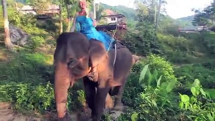 FROZEN ELSA vs SPIDERMAN vs ELEPHANT DREAM ! Funny Superhero Movie in Real Life