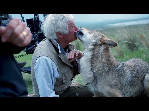 LE DERNIER LOUP de Jean Jacques Annaud [Making -Of]