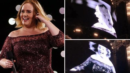 Adele Freaks Out About A Mosquito During A Concert