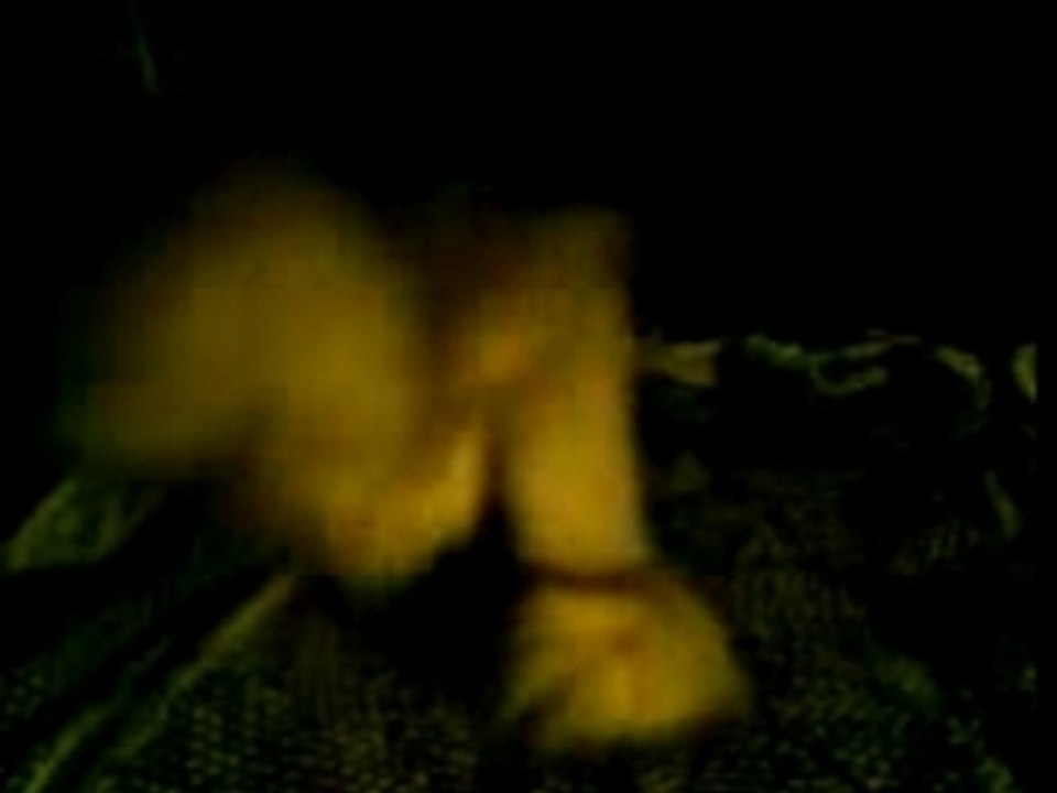 Rowdy techtonik