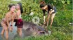 Beautiful girl Fishing - How to fishing with deep hole - Net fishing in Cambodia