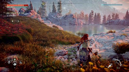 Horizon Zero Dawn™_Perfect